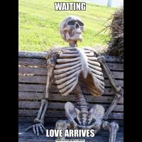 WAITINGLOVE ARRIVES