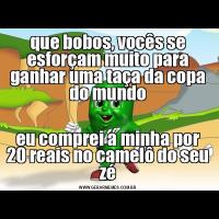 que bobos, vocês se esforçam muito para ganhar uma taça da copa do mundoeu comprei a minha por 20 reais no camelô do seu zé
