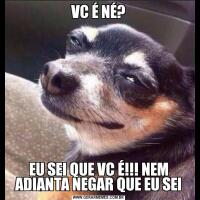 VC É NÉ?EU SEI QUE VC É!!! NEM ADIANTA NEGAR QUE EU SEI
