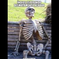 ÍNDIOS ESPERANDO DESMATAMENTO ACABAR