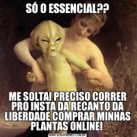 SÓ O ESSENCIAL??ME SOLTA! PRECISO CORRER PRO INSTA DA RECANTO DA LIBERDADE COMPRAR MINHAS PLANTAS ONLINE! 