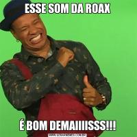 ESSE SOM DA ROAXÉ BOM DEMAIIIISSS!!!