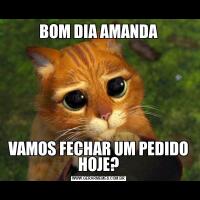 BOM DIA AMANDAVAMOS FECHAR UM PEDIDO HOJE?