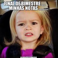 FINAL DE BIMESTRE ....         
MINHAS NOTAS ..........