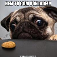 NEM TO COM VONTADE!!!