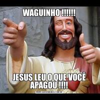 WAGUINHO !!!!!!JESUS LEU O QUE VOCÊ APAGOU !!!!