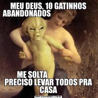 MEU DEUS, 10 GATINHOS ABANDONADOS                             ME SOLTA                       PRECISO LEVAR TODOS PRA CASA