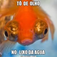 TÔ  DE  OLHONO   LIXO DA AGUA