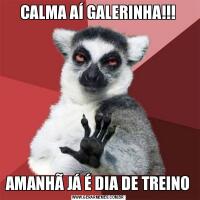 CALMA AÍ GALERINHA!!!AMANHÃ JÁ É DIA DE TREINO