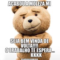 ACABOU A MOLEZA MISEJA BEM VINDA DE VOLTA!!!!
 O TRABALHO TE ESPERA...
               KKKK