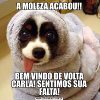 A MOLEZA ACABOU!!BEM VINDO DE VOLTA CARLA! SENTIMOS SUA FALTA!