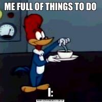 ME FULL OF THINGS TO DOI: