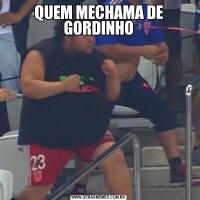 QUEM MECHAMA DE GORDINHO