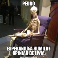 PEDROESPERANDO A HUMILDE OPINIÃO DE LÍVIA