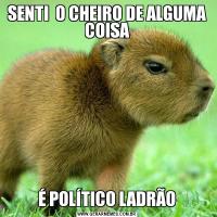 SENTI  O CHEIRO DE ALGUMA COISAÉ POLÍTICO LADRÃO