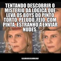 TENTANDO DESCOBRIR O MISTÉRIO DA LÓGICA QUE LEVA OS BOYS DO PINTO TORTO, PELUDO, FEIO, COM PINTA, ESTRANHO A ENVIAR NUDES 