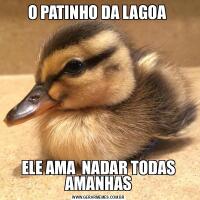 O PATINHO DA LAGOA ELE AMA  NADAR TODAS AMANHAS