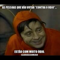 AS PESSOAS QUE VÃO VOTAR 