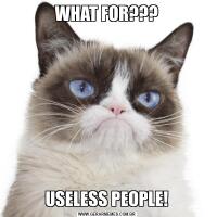 WHAT FOR???USELESS PEOPLE!