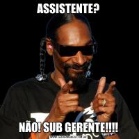 ASSISTENTE?NÃO! SUB GERENTE!!!!