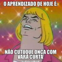 O APRENDIZADO DE HOJE É:NÃO CUTUQUE ONÇA COM VARA CURTA