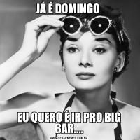 JÁ É DOMINGO EU QUERO É IR PRO BIG BAR....