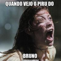 QUANDO VEJO O PIRU DO BRUNO