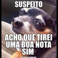 SUSPEITOACHO QUE TIREI UMA BOA NOTA SIM 