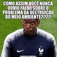COMO ASSIM VOCÊ NUNCA OUVIU FALAR SOBRE O PROBLEMA DA DESTRUIÇÃO DO MEIO AMBIENTE????