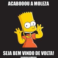 ACABOOOU A MOLEZASEJA BEM VINDO DE VOLTA!