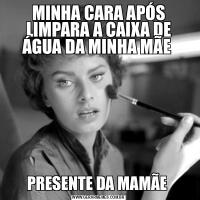 MINHA CARA APÓS LIMPARA A CAIXA DE ÁGUA DA MINHA MÃE PRESENTE DA MAMÃE 