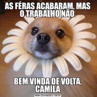 AS FÉRAS ACABARAM, MAS O TRABALHO NÃO.BEM VINDA DE VOLTA, CAMILA