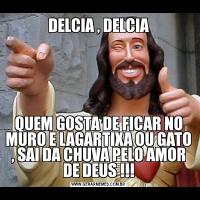 DELCIA , DELCIAQUEM GOSTA DE FICAR NO MURO E LAGARTIXA OU GATO , SAI DA CHUVA PELO AMOR DE DEUS !!!