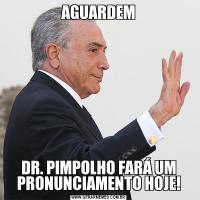 AGUARDEMDR. PIMPOLHO FARÁ UM PRONUNCIAMENTO HOJE!