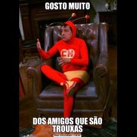 GOSTO MUITODOS AMIGOS QUE SÃO TROUXAS