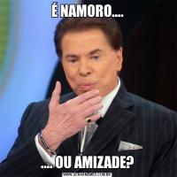 É NAMORO........ OU AMIZADE?