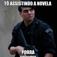 TÔ ASSISTINDO A NOVELA PORRA