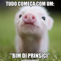 TUDO COMEÇA COM UM:"BIM DI PRINSICI"