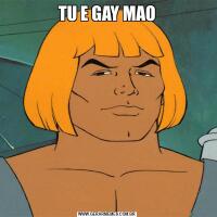 TU E GAY MAO