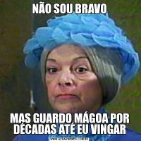 NÃO SOU BRAVOMAS GUARDO MÁGOA POR DÉCADAS ATÉ EU VINGAR