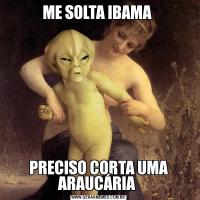 ME SOLTA IBAMA PRECISO CORTA UMA ARAUCÁRIA 