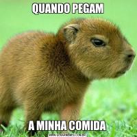 QUANDO PEGAMA MINHA COMIDA