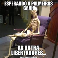 ESPERANDO O PALMEIRAS GANHAR OUTRA LIBERTADORES...