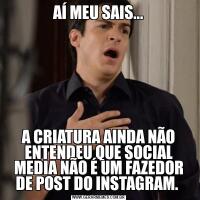 AÍ MEU SAIS...A CRIATURA AINDA NÃO ENTENDEU QUE SOCIAL MEDIA NÃO É UM FAZEDOR DE POST DO INSTAGRAM. 