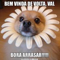 BEM VINDA DE VOLTA, VALBORA ARRASAR!!!!!