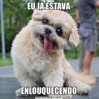 EU JÁ ESTAVAENLOUQUECENDO