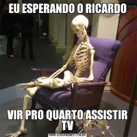 EU ESPERANDO O RICARDOVIR PRO QUARTO ASSISTIR TV