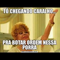 TÔ CHEGANDO CARALHO...PRA BOTAR ORDEM NESSA PORRA
