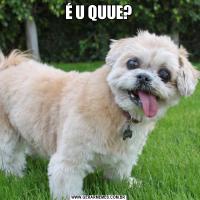 É U QUUE?