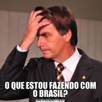 O QUE ESTOU FAZENDO COM O BRASIL?